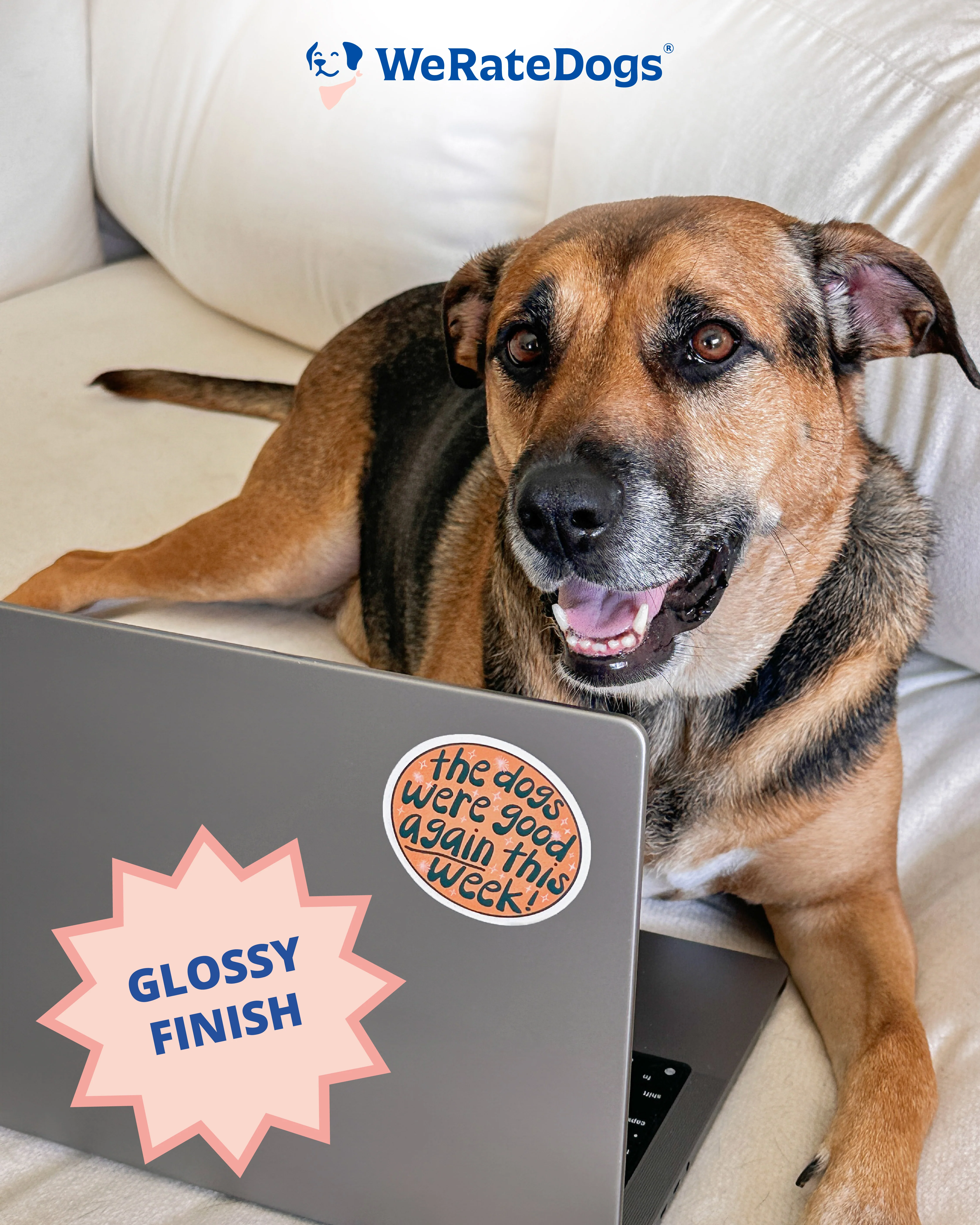 The Dogs Were Good Again This Week Circular Sticker - Orange - Image 4