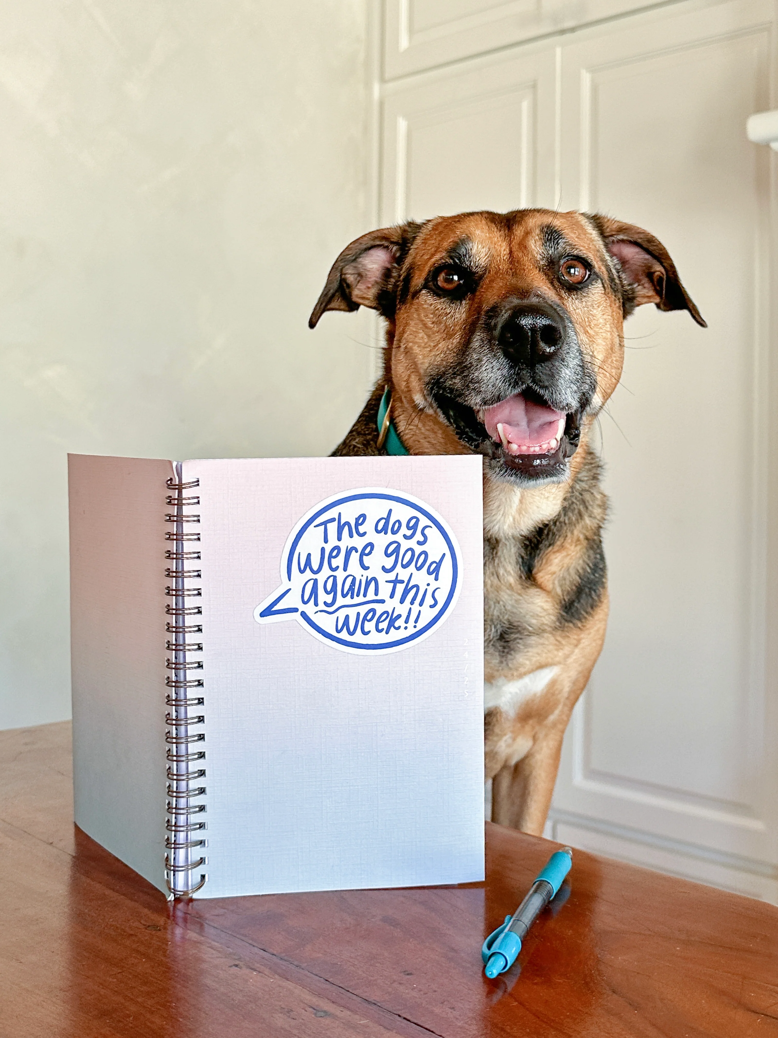 The Dogs Were Good Again This Week Talk Bubble Sticker - Image 3